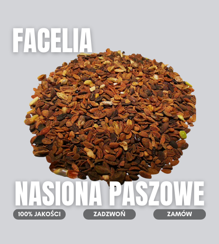 facelia