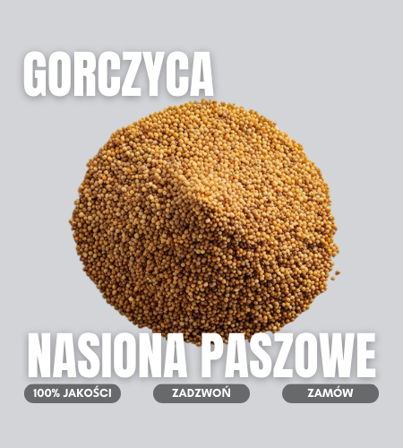 gorczyca