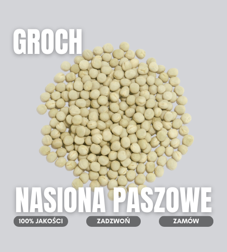 groch