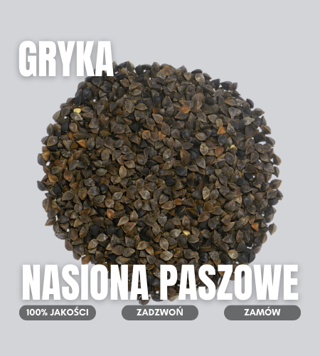 gryka