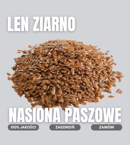 len ziarno