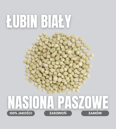 lubin bialy