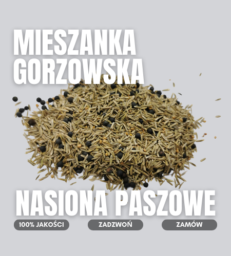 mieszanka gorzowska