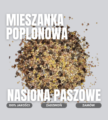mieszanka poplonowa