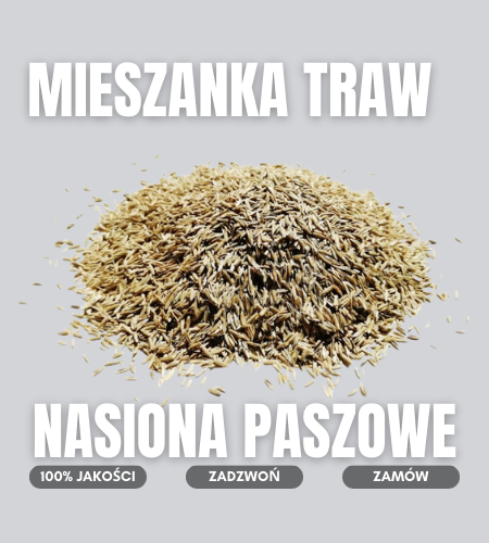 mieszanka traw
