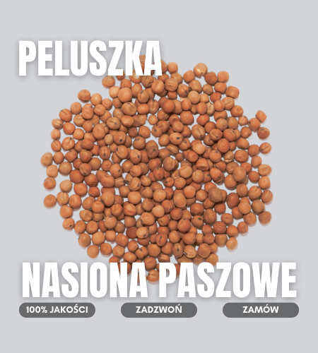 peluszka