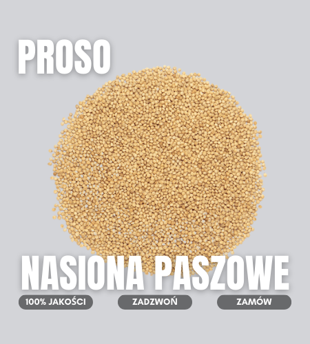 proso