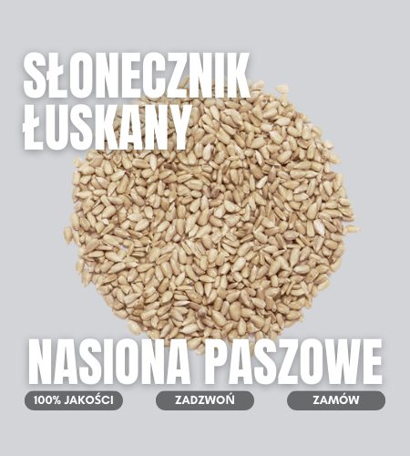 slonecnzik luskany