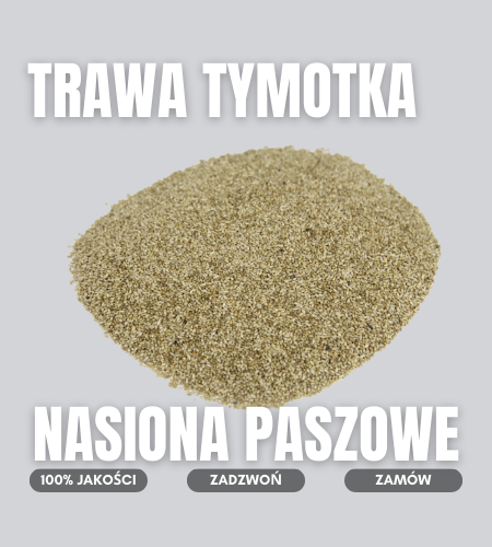 trawa tymotka
