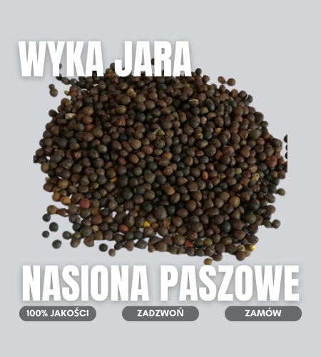 wyka jara